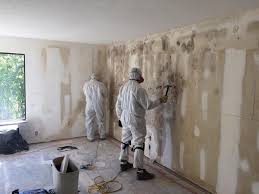 Best Mold Documentation for Insurance Claims  in Woodlawn, MD